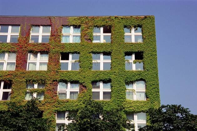 Begrünte Hausfassade in Berlin