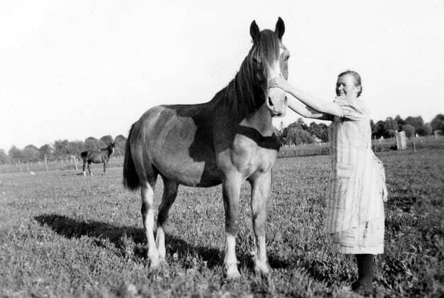 Junge Bäuerin mit Pferd während des 2. Weltkrieges in Ostpreußen nahe Skuldeinen