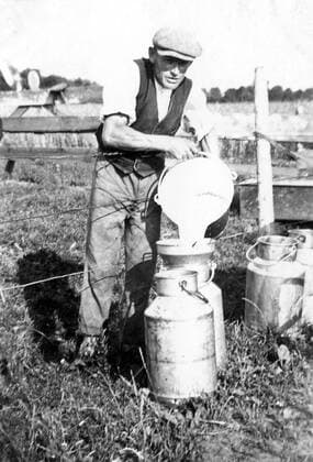 Frisch gemolkene Milch wird durchgeseiht auf einem Bauernhof in Skuldeinen - Ostpreußen