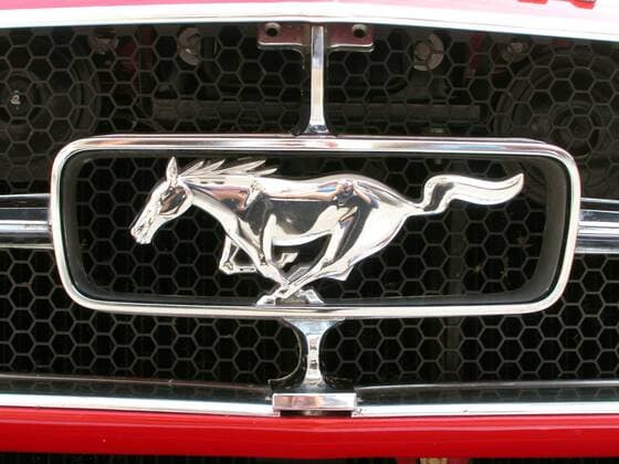 Logo eines - Ford Mustang - am Kühlergrill