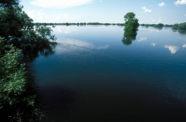 Oder bei Hochwasser - Schwedt - Uckermark