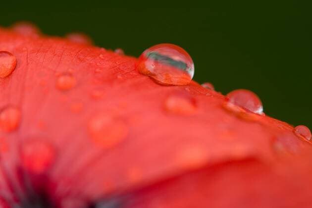 Wassertropfen auf einem roten Untergrund