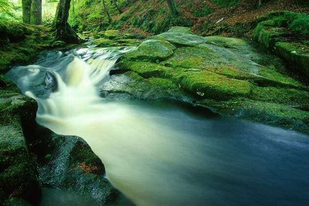 Moosbewachsene Felsen an einem Wildbach in den Wicklow Mountains in Irland
