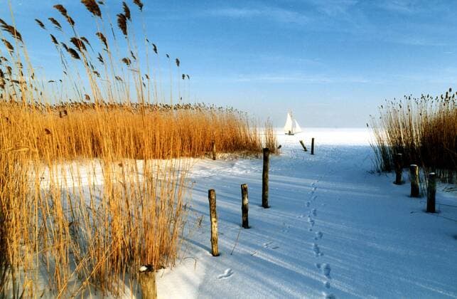 Winterlandschaft an der Ostsee in Mecklenburg-Vorpommern