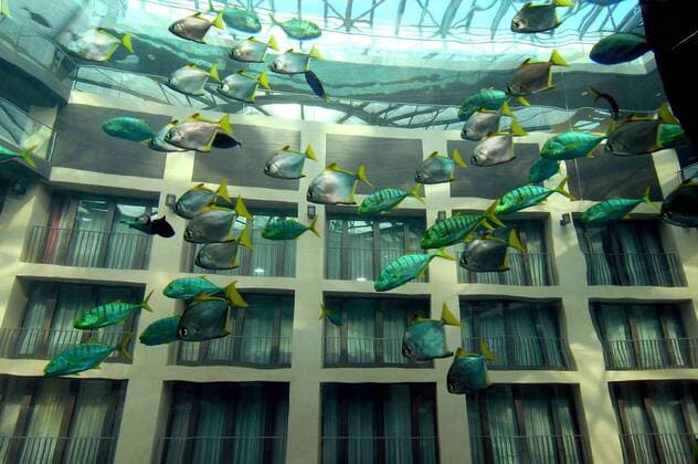 Fische im inneren des gläsernen Fahrstuhls im Aquadom in Berlin
