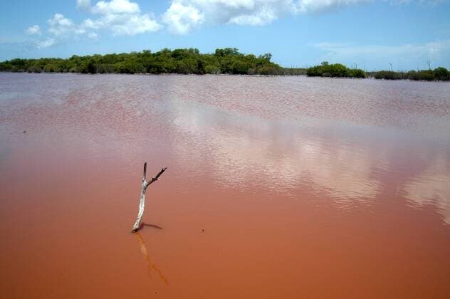 Rotes Wasser - Cayman Islands