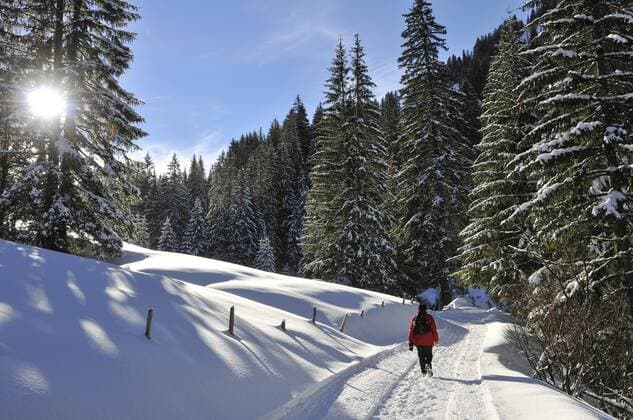  Spaziergänger im winterlichen Kleinwalsertal/Österreich (iblham00605063)