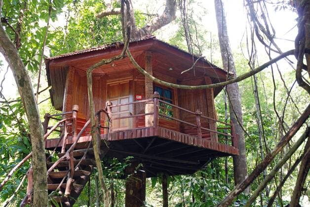 IMAGO Creative, Leben im Bamhaus Baumhaus im Khao Sok Nationalpark - Thailand - iblwga00664120