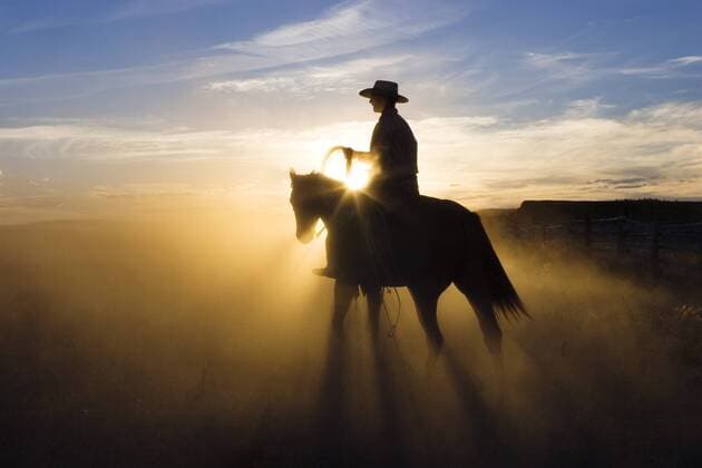 Cowboy mit seinem Pferd vor Sonnenuntergang (Oregon - USA) - (iblwot00644306)