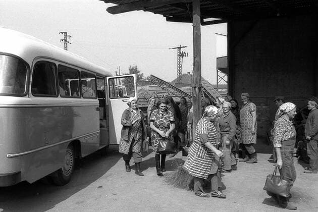 Erntehelferinnen während der Kartoffelernte der LPG Dahme - DDR