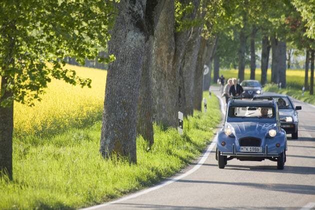 Citroen 2CV auf einer Allee