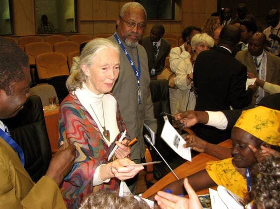 IMAGO ICONS: Jane Goodall Verhaltensforscherin Dr. Jane Goodall verteilt Broschüren mit Tipps zum Umweltschutz in Arusha - Tansania 
