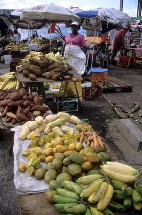 Markt in Pointe a Pitre - Kaimaninseln in der Karibik