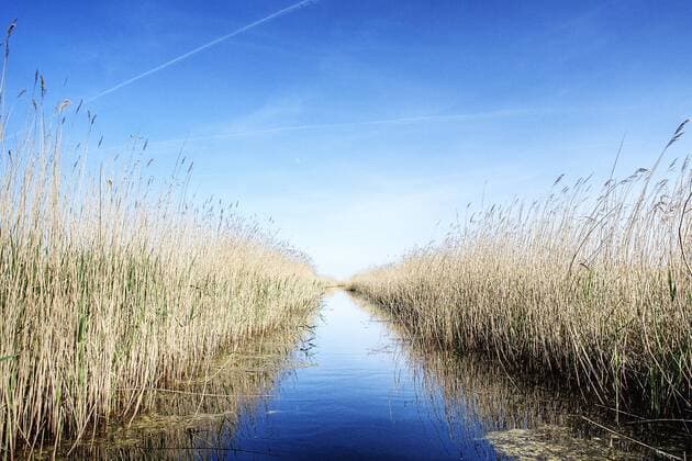 Wasserlauf in einem Schilfgebiet in Prerow auf dem Darß - McPKPA