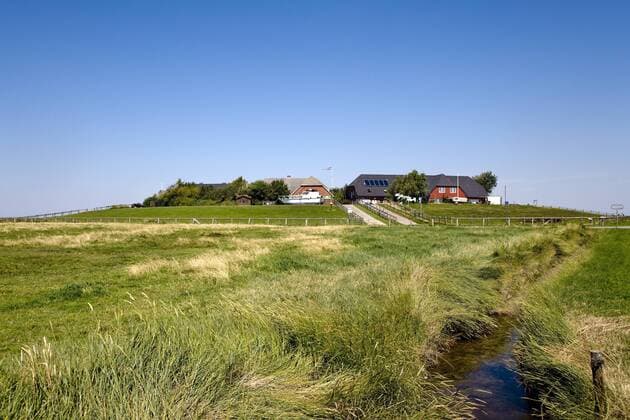 Hunnenswarft auf der Hallig Langeneß (iblslu01121519)