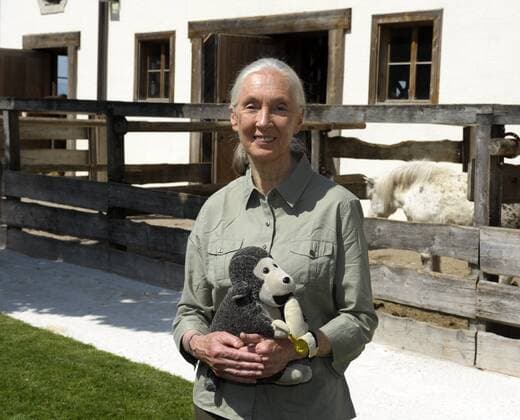 IMAGO ICONS: Jane Goodall Verhaltensforscherin Jane Goodall auf Gut Aiderbichl in Henndorf bei Salzburg