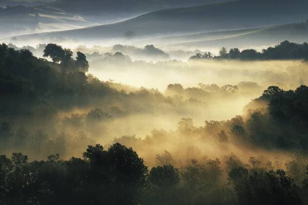 Morgennebel bei Asciano, Toskana, Italien, Europa iblkhi00924335