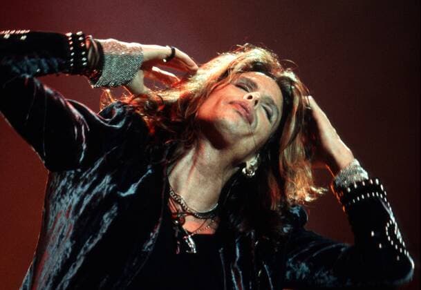 Sänger Steven Tyler (Aerosmith) während des Rock im Park Festivals in Nürnberg