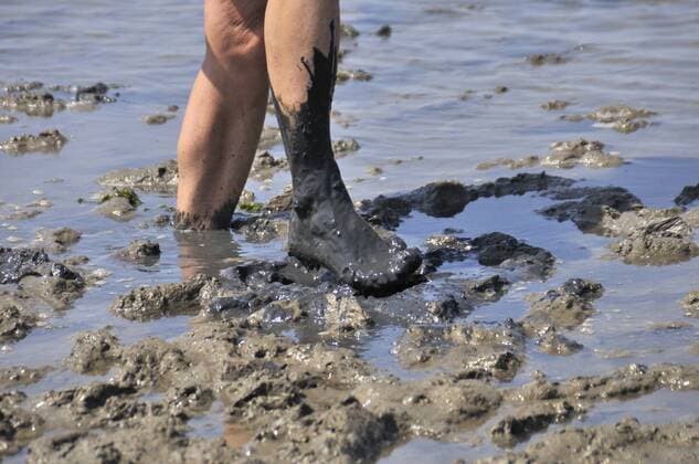 Füße künden von einer schlammigen Wattwanderung an der Nordsee - MODEL RELEASED