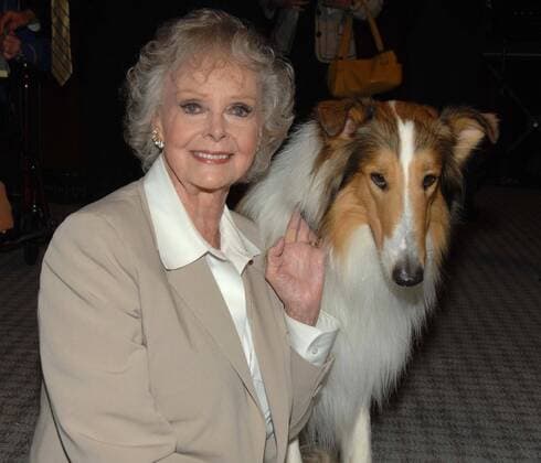 Schauspielerin June Lockhart mit Hund Lassie anlässlich der Vorstellung einer Briefmarkenserie - Early TV Memories - in North Hollywood - (ZUMAd79)