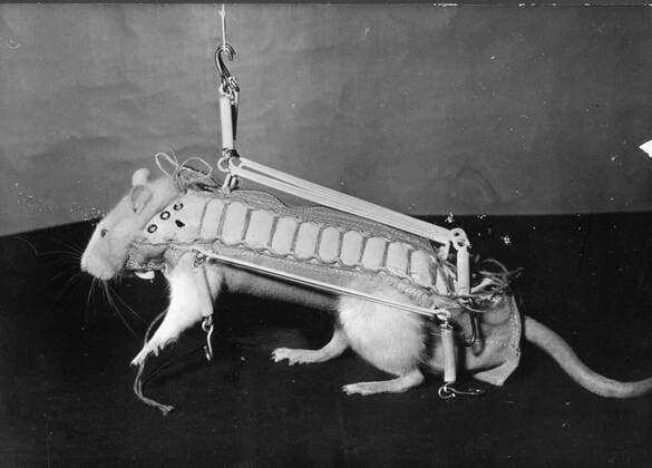 United States Space Program  - ZUMAk09