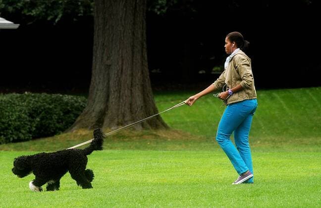 Berühmte Feministinnen, Michelle Obama First Lady Michelle Obama walks the family dog Bo on the South Lawn of the White House in Washington on September 26, 2009 UPI Olivier Douliery Pool First Lady Michelle Obama walks with Bo in Washington  WAX20090926312