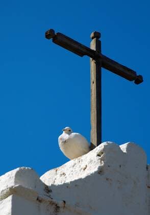 Friedenstaube unter Holzkreuz, Kanaren, Teneriffa, Garachicco peace dove under wooden cross, Canary, Tenerife, Garachicco BLWS158256