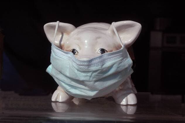 Porzellanschwein mit Mundschutz