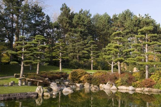 Japanischer Garten im Nordpark, Landeshauptstadt Düsseldorf, Nordrhein-Westfalen, Deutschland, Europa ibldwh01383605