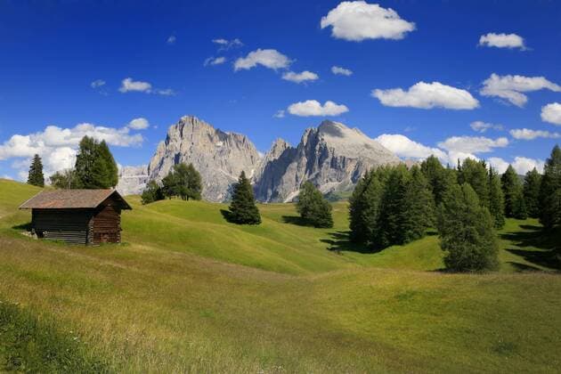 Seiser Alm, Sicht auf die Langkofelgruppe, Dolomiten, Südtirol, Italien, Europa iblweb01397409
