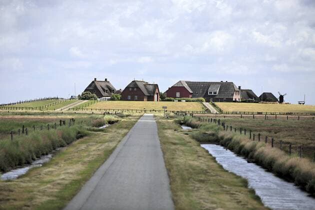 Straße nach Kirchwarf auf der Hallig Langeneß, Schleswig-Holstein, Deutschland, Europa iblpfm01446028