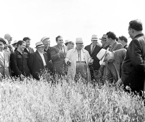 Kustanai Region. Nikita Khrushchev (C), First Secretary of the CPSU Central Committee, visits grain fields of the state farm named after USSR Hero I.Pavlov.  TASS_175130