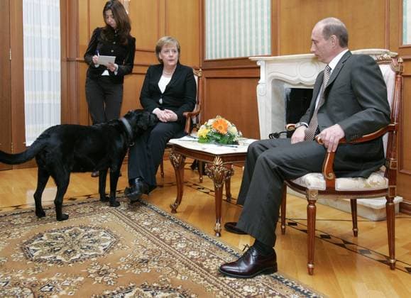 ITAR-TASS 88: SOCHI, RUSSIA. JANUARY 21. President of Russia Vladimir Putin (R) and German Chancellor Angela Merkel hold a working meeting at Bocharov Ruchei presidential residence near the Black Sea resort of Sochi. At left is Koni, President Putin s black Labrador Retriever.  Highlight TASS_427894