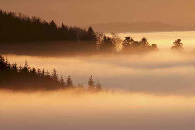 Nebelstimmung im Schwarzwald, Deutschland, Baden-Wuerttemberg fog in Black Forest, Germany, Baden-Wuerttemberg BLWS051784