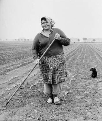  LPG-Bäuerin bei der Feldarbeit, bei Borna, DDR, etwa 1982 iblnit01509162