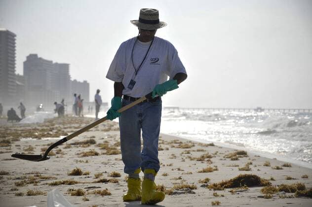 (100606) -- GULF SHORES, June 6, 2010 (Xinhua) -- A worker cleans the oil washed ashore from the BP Deepwater Horizon spill at the beach of Gulf Shores, southern Alabama, the United States, June 6, 2010. More than half of the oil leaking each day in the Gulf of Mexico is now being captured and the British Petroleum (BP) will restore the gulf to its original state, BP s chief executive Tony Hayward said Sunday. (Xinhua Zhang Jun) (zw) (8)U.S.-GULF OF MEXICO-OIL SPILL 