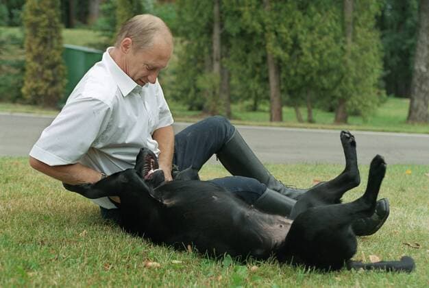 Moscow Region. Russian President Vladimir Putin plays with his pet Koni the Labrador at his countryside residence Novo-Ogaryovo. Photo taken July 26, 2003.  108483