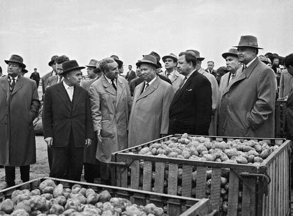 The leaders of the Soviet Communist Party and the Soviet Government visit Ramenskoe sovkhoz. Nikita Khrushchev (C) in Ramenskoe sovkhoz.  304409