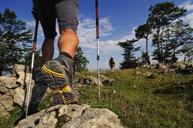 Wanderer, Stoibenmöseralm, Taubensee, Reit im Winkl, Chiemgau, Oberbayern, Bayern, Deutschland, Europa iblnex01690403