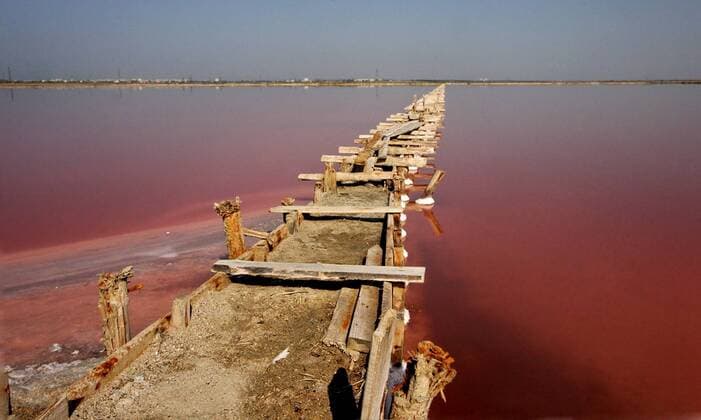 EVPATORIA, RUSSIA. OCTOBER 18, 2010. Bay salt being extracted by - Galit - industrial cooperative society at Sasyk-Sivash Lake. Salt is of pink colour due to contained natural carotenoids, mainly beta-carotene.  Highlight Premiumd 4822695