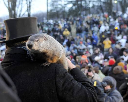 The crowd at Gobblers Knob watches after hearing the prediction of a early spring from Punxsutawney Phil, as he did not see his shadow at Gobbler s Knob on February 2, 2011, in Punxsutawney, Pennsylvania. This is the 125th official prediction from Gobbler Knob by the weather forecasting groundhog, Punxsutawney Phil .  PIT2011020216
