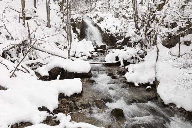 Trefflingfall, Trefflingbach, Naturpark Ötscher-Tormäuer, Mostviertel, Niederösterreich, Österreich, Europa ibxman01829494
