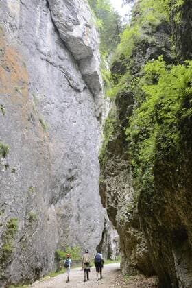 Wanderung durch eine Schlucht im Königstein Gebirge, Piatra Craiului, Rumänien, Europa iblhan01845593