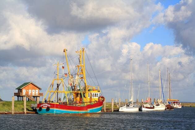 Hafen der Hallig Hooge, Nordfriesland, Nordsee, Wattenmeer, Schleswig-Holstein, Deutschland, Europa ibxsfs01860368