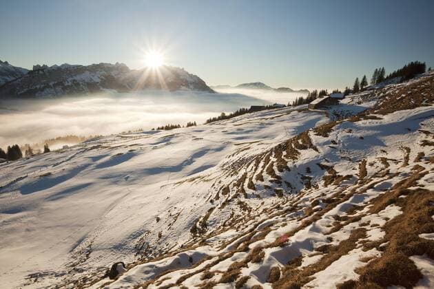 Blick auf den Alpstein mit Säntis und Alm im Schnee, Alpstein, Schweizer Alpen, Schweiz, Europa ibxsta01881757