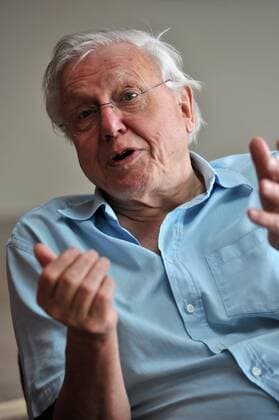 IMAGO ICONS: Sir David Attenborough David Attenborough in SA PORT ELIZABETH, SOUTH AFRICA ? 11 April 2011: British broadcaster Sir David Attenborough who makes documentaries for BBC during an interview in Port Elizabeth, South Africa on 11 April 2011 where he is being given an honourary doctorate by Nelson Mandela Metropolitan University. ( Gallo0000014395