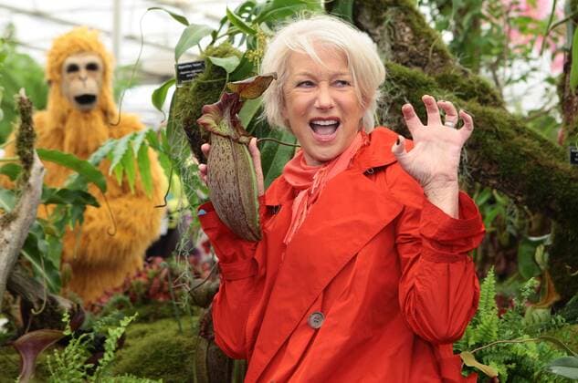 British actress Dame Helen Mirren poses on the Borneo exotic stand at the Chelsea Flower Show 2011 in Chelsea, London on Monday May 23 2011.  LON2011052314