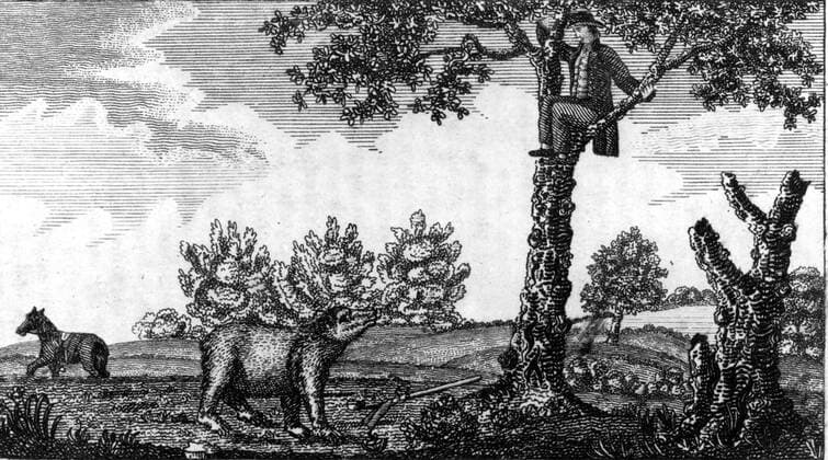 An American having struck a bear, but not killed him, escapes into a tree. 1812, by Patrick Gass (1771-1870), who served as Sergeant in the Lewis and Clark Expedition. From a Journal of the Voyages and Travels of Captain Lewis and Clark, page 239. Local Caption Exploration 1 Mono Print UnitedArchives0542078