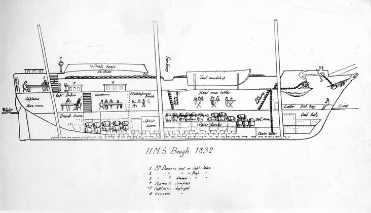 Side-elevation of the Beagle 1832. After he first saw the ship, Darwin wrote to Henslow: The absolute want of room is an evil that nothing can surmount. Darwin and the Beagle by Alan Moorhead, page 39. Mono Print !AUFNAHMEDATUM GESCHÄTZT! UnitedArchives0651904