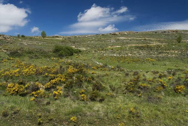 Berglandschaft in der Spanischen Provinz Burgos, Spanien, Burgos mountain meadow, Spain, Burgos BLWS144172